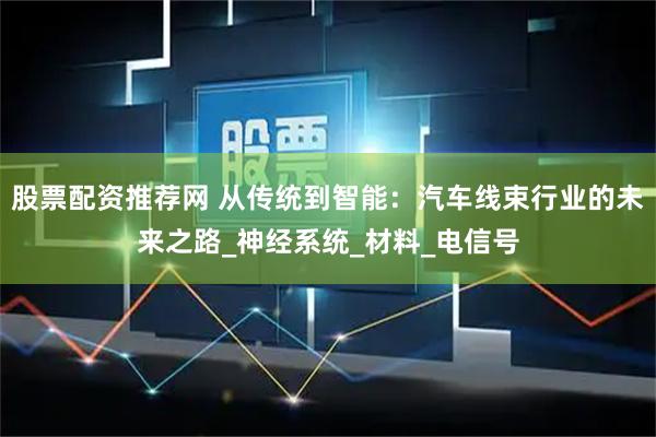 股票配资推荐网 从传统到智能：汽车线束行业的未来之路_神经系统_材料_电信号