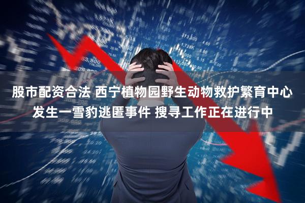 股市配资合法 西宁植物园野生动物救护繁育中心发生一雪豹逃匿事件 搜寻工作正在进行中